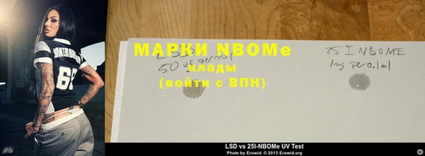 индика Алзамай