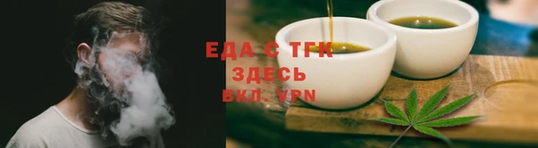 индика Алзамай