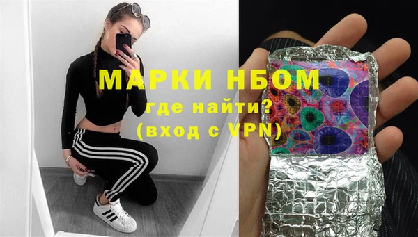 индика Алзамай