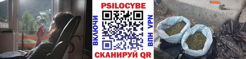 Галлюциногенные грибы Cubensis  Катав-Ивановск 